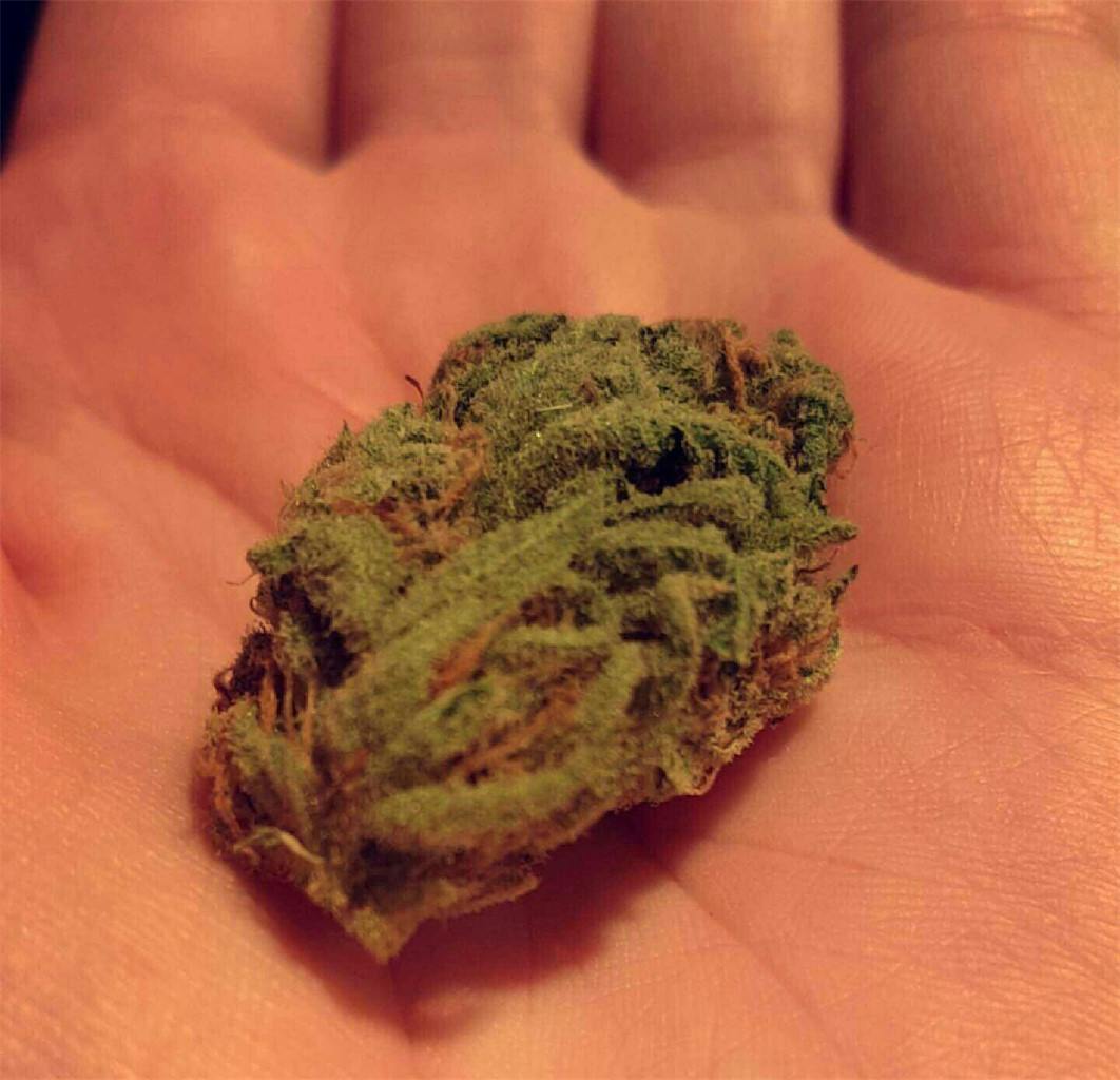 Photos of Ace of Spades Weed Strain Buds Leafly
