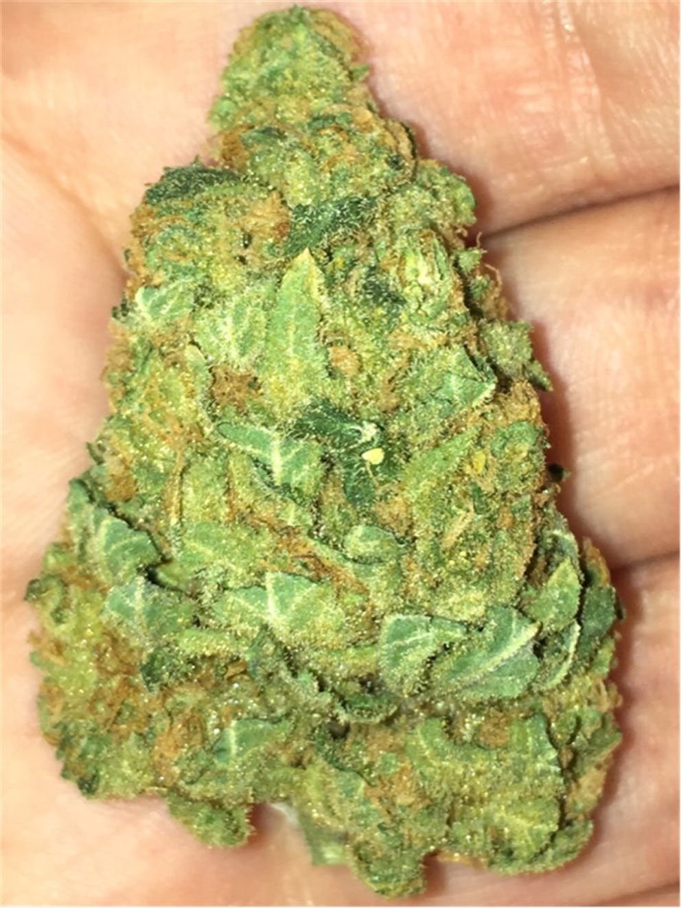Photos of Ace of Spades Weed Strain Buds Leafly