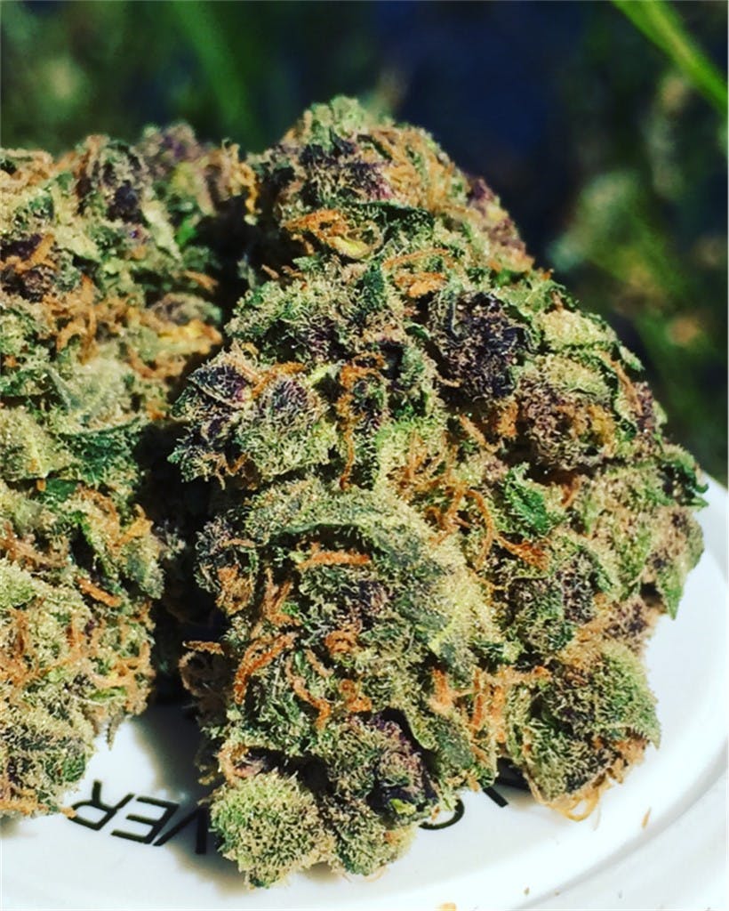 Photos of Ace of Spades Weed Strain Buds Leafly