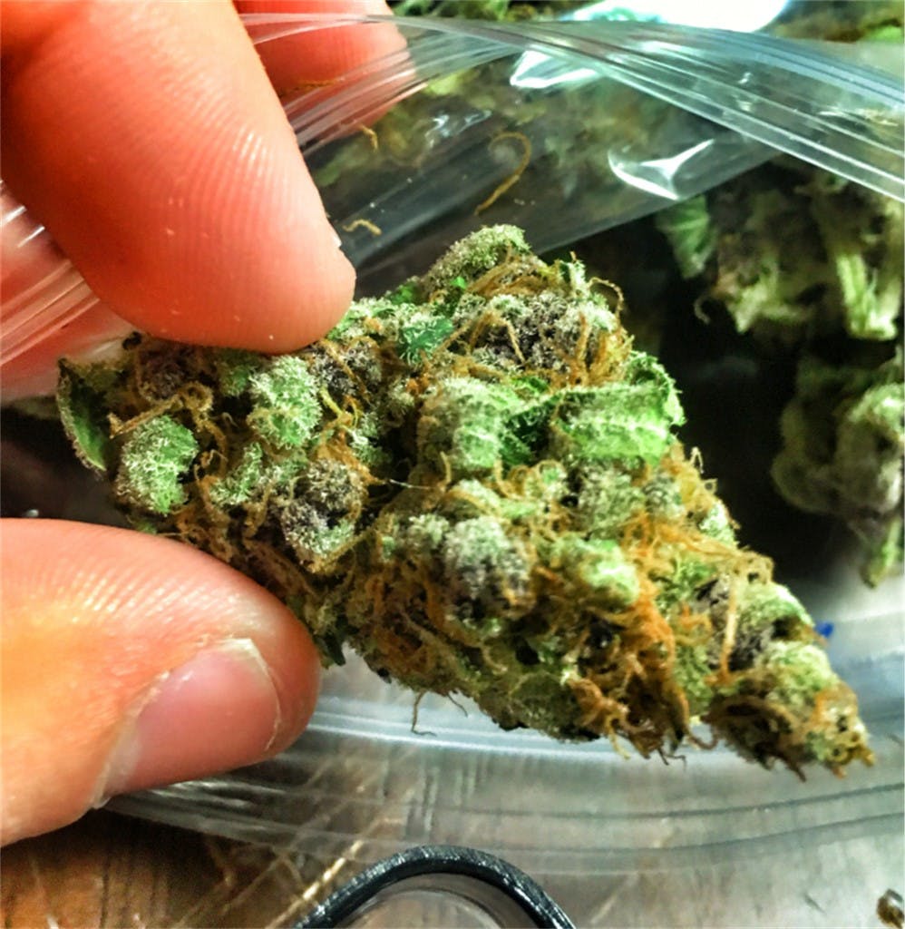 Photos of Ace of Spades Weed Strain Buds Leafly