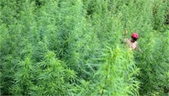 User uploaded image of Aceh