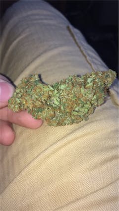 User uploaded image of Aceh