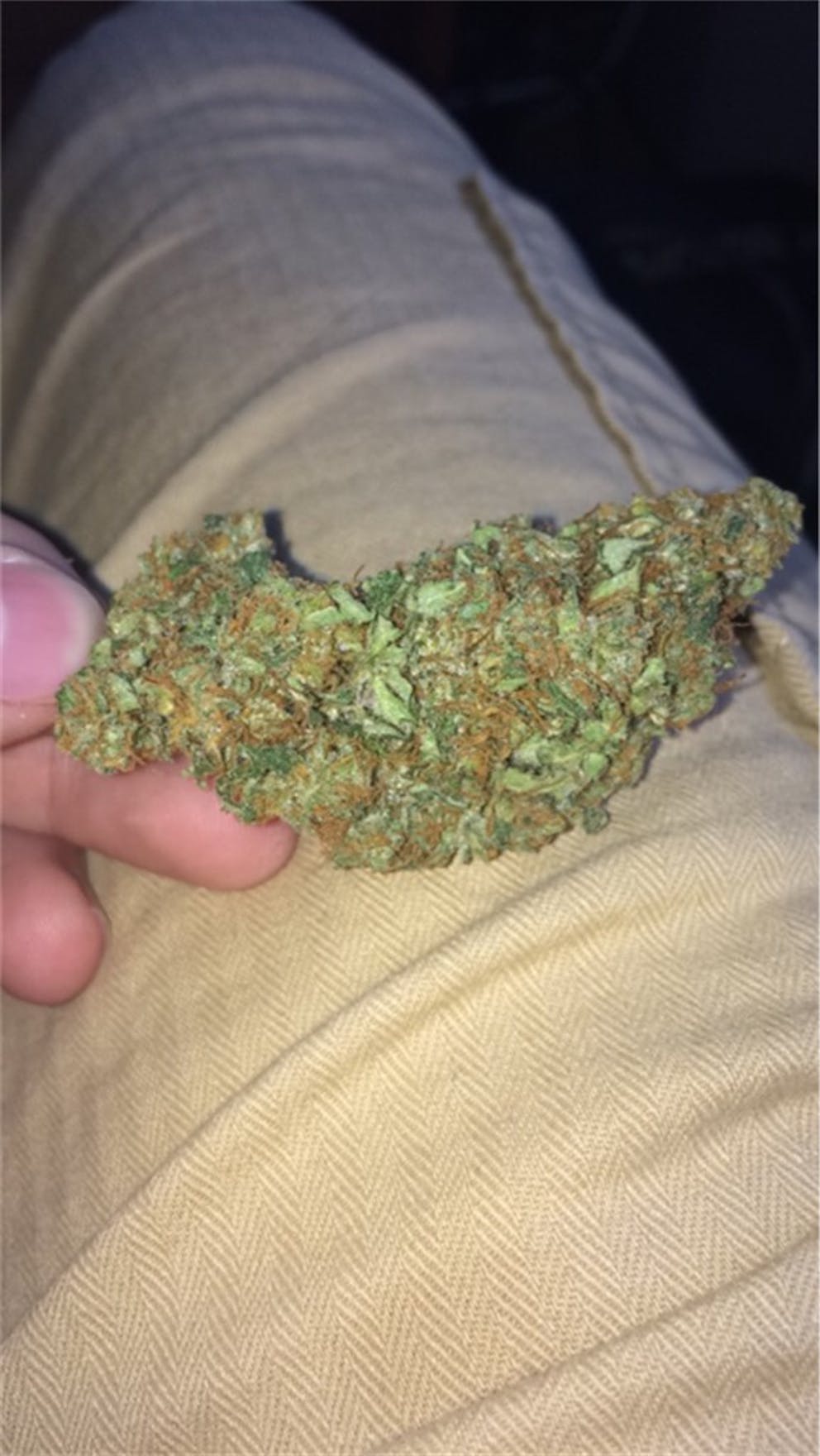 Photos of Aceh Weed Strain Buds | Leafly