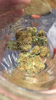 User uploaded image of Afghan Big Bud
