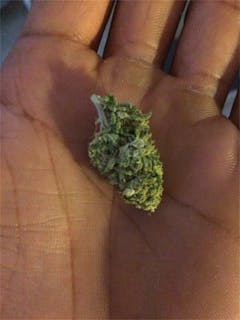 User uploaded image of Afghan Big Bud
