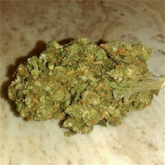 User uploaded image of Afghan Big Bud
