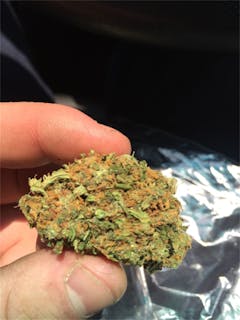 User uploaded image of Afghan Big Bud