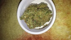 User uploaded image of Afghan Big Bud