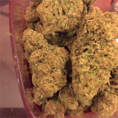 User uploaded image of Afghan Cow