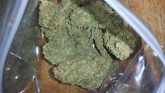 User uploaded image of Afghan Haze