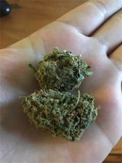 User uploaded image of Afghan Haze