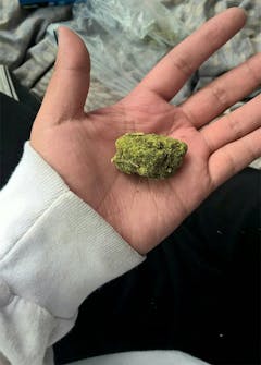 User uploaded image of Afghan Haze