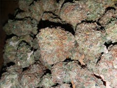 User uploaded image of Afghan Kush