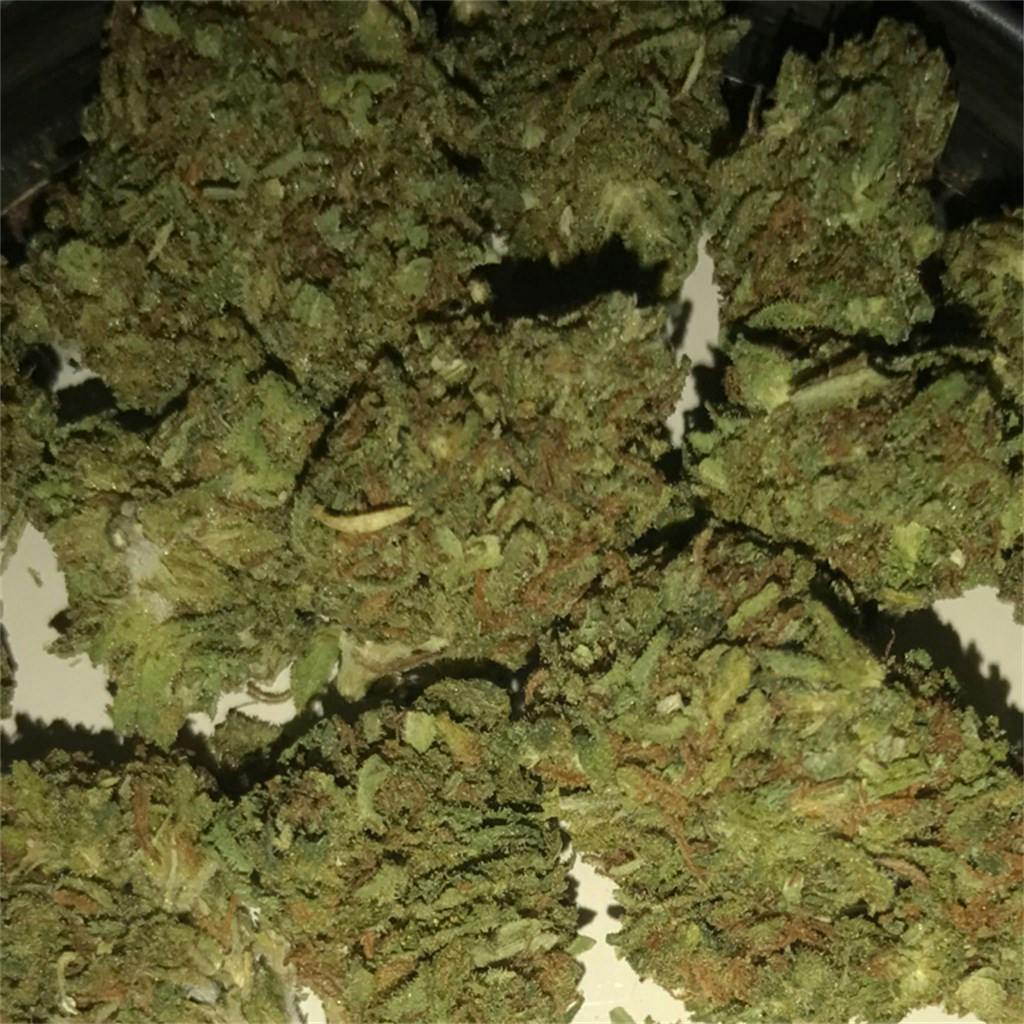Photos of Afghan Kush Weed Strain Buds Leafly