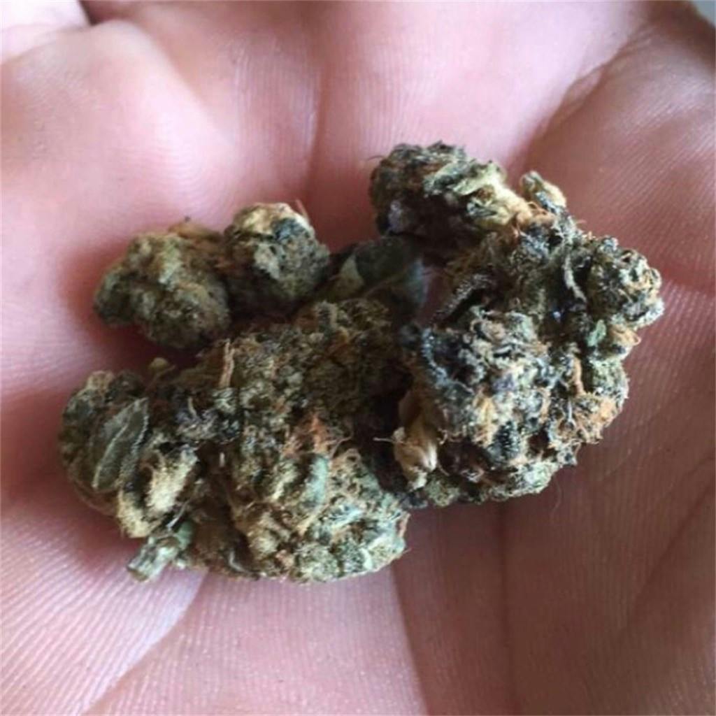 Photos of Afghan Kush Weed Strain Buds Leafly