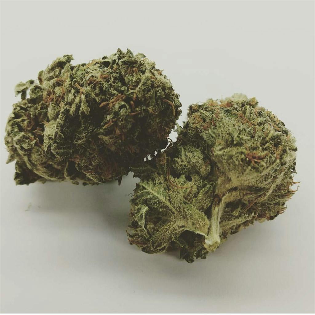 Photos of Afghan Kush Weed Strain Buds Leafly
