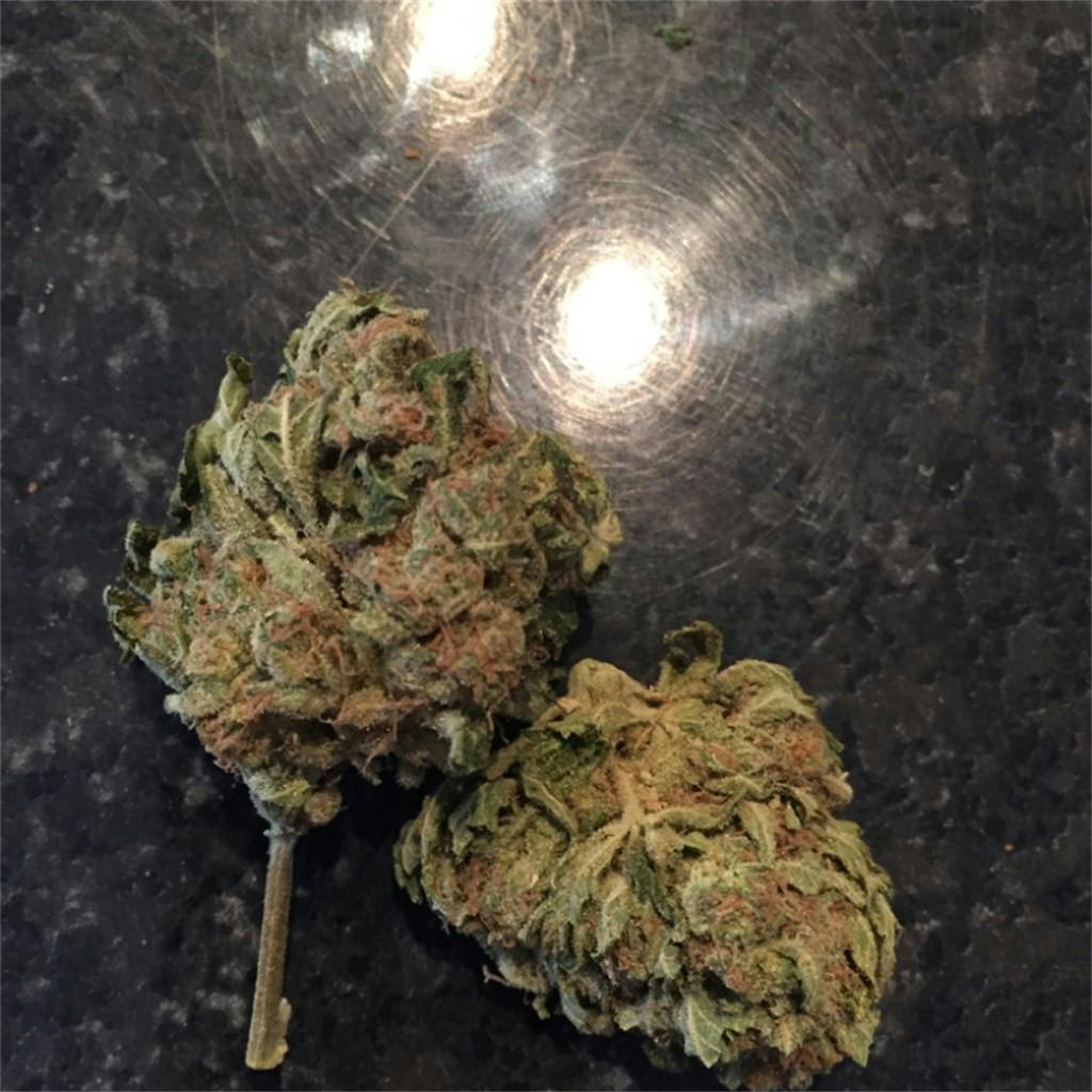 Photos of Afghan Kush Weed Strain Buds Leafly