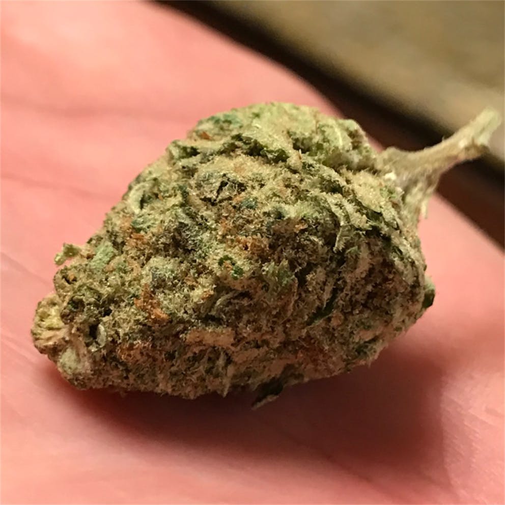 Photos of Afghan Kush Weed Strain Buds Leafly