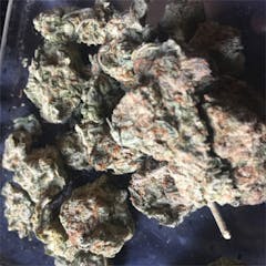 User uploaded image of Afghan Kush