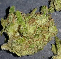 User uploaded image of Afghan Kush