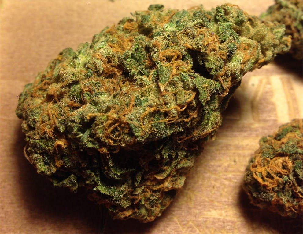 Photos of Afghan Kush Weed Strain Buds Leafly