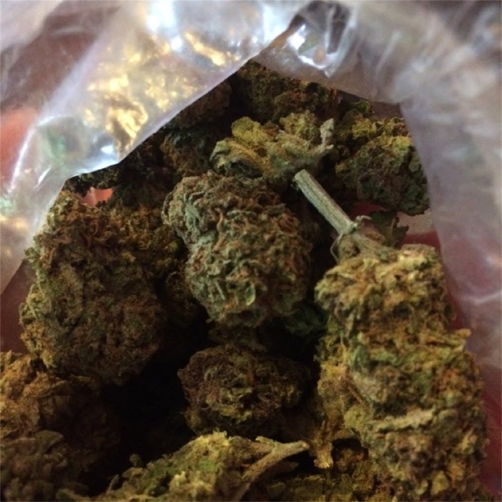 Photos of Afghan Kush Weed Strain Buds Leafly