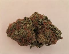 User uploaded image of Afghan Kush