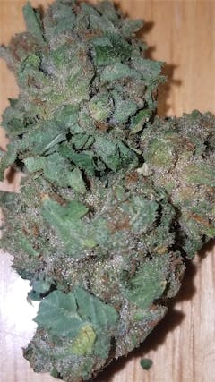 User uploaded image of Afghan Skunk