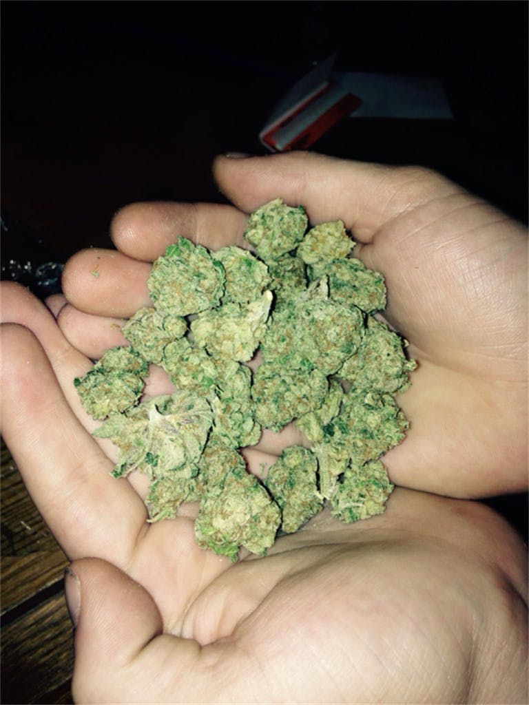 Afghan Sour Kush Weed Strain Information Leafly