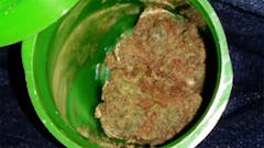 User uploaded image of Bullrider