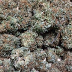 User uploaded image of Bullrider