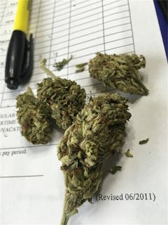 User uploaded image of Bullrider