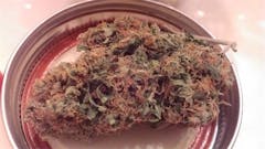 User uploaded image of Afghanica