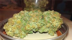 User uploaded image of Afghanica