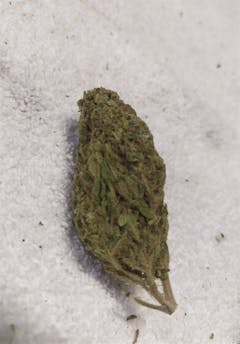 User uploaded image of Afgoo