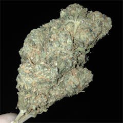 User uploaded image of Afgoo