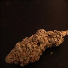 User uploaded image of Afgoo