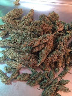 User uploaded image of African