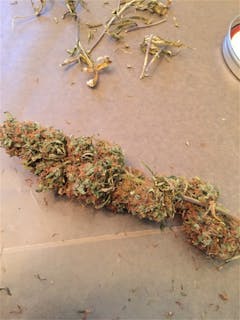 User uploaded image of African