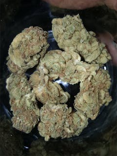 User uploaded image of Afternoon Delight