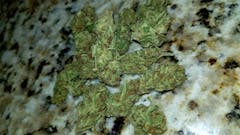 User uploaded image of Afternoon Delight