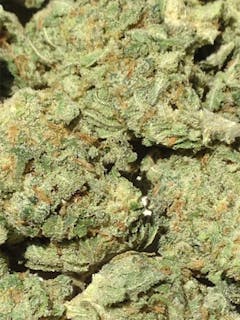 User uploaded image of Afwreck