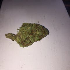 User uploaded image of Agent Orange