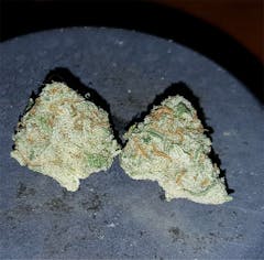 User uploaded image of Agent Orange