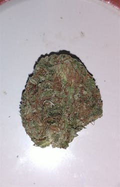 User uploaded image of Agent Orange