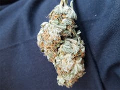User uploaded image of Agent Orange