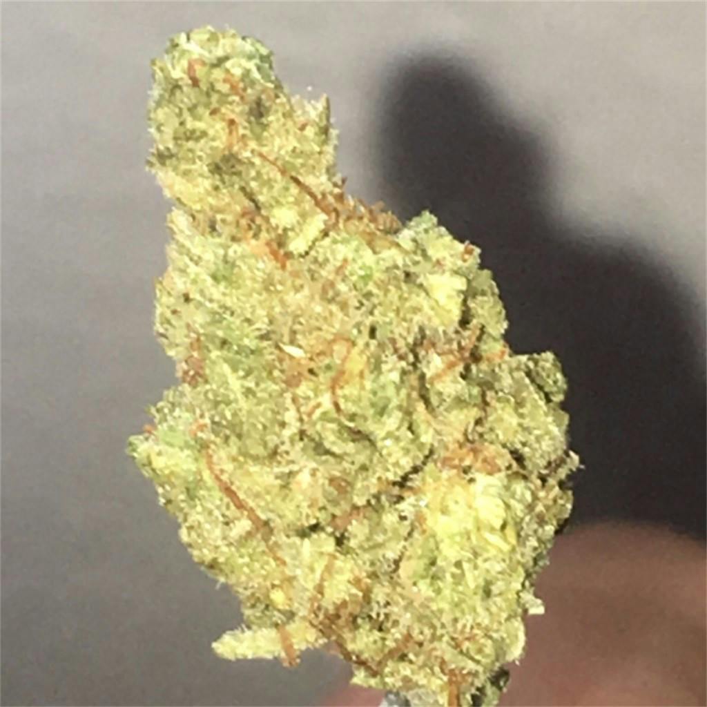 Agent Orange Weed Strain Information Leafly