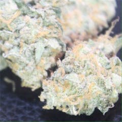 User uploaded image of AK-48