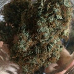 User uploaded image of AK-48