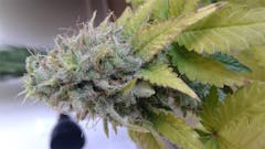 User uploaded image of AK-48